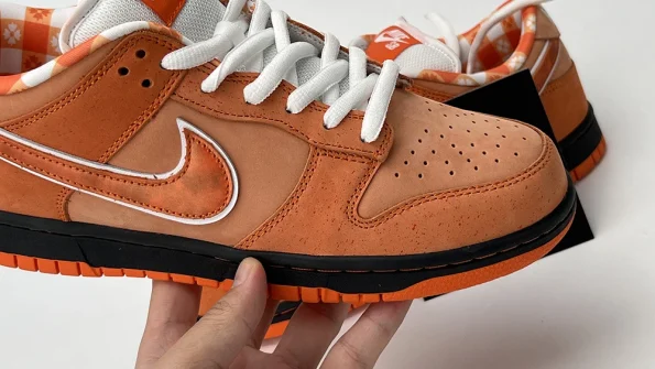 Nike SB Dunk Low Concepts Orange Lobster Replica FD8776-800