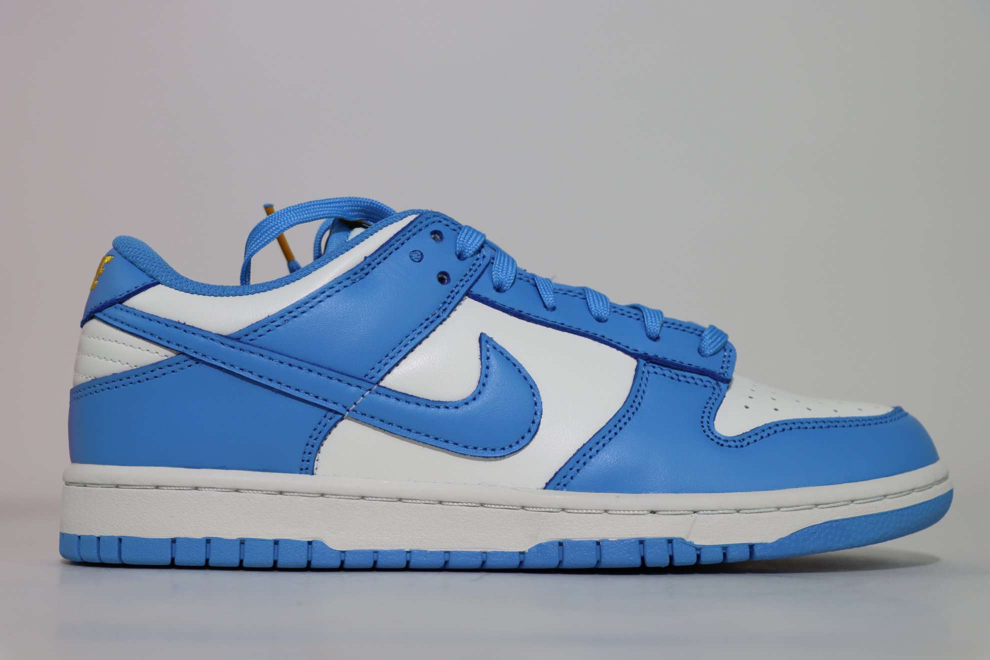 Nike Dunk Low Coast Replica DD1503-100