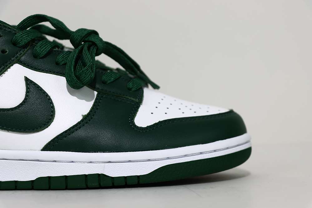 Nike Dunk Low Michigan State Replica  DD1391-101