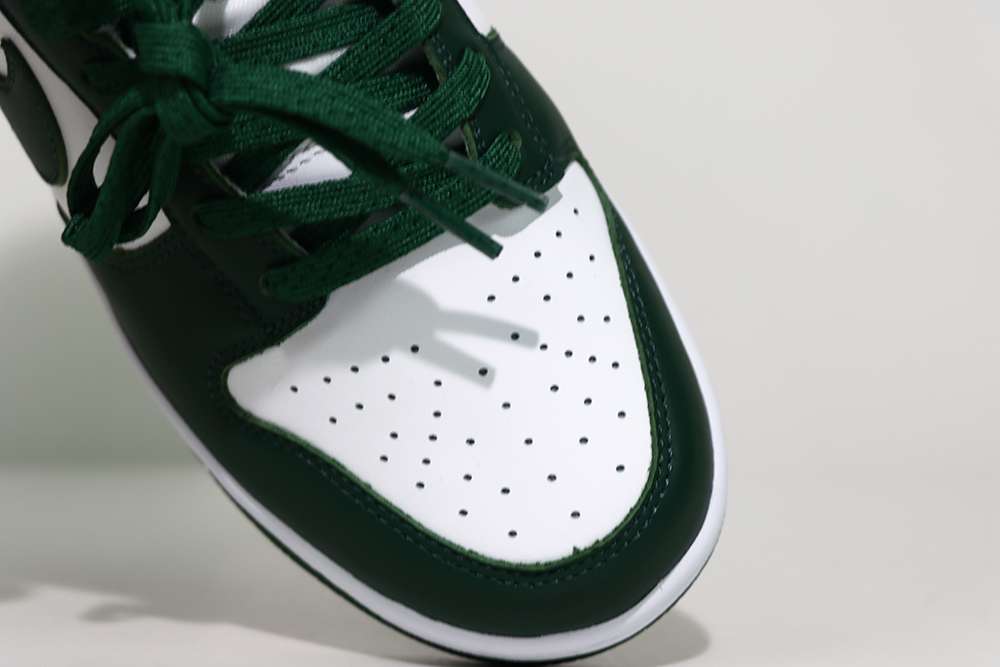 Nike Dunk Low Michigan State Replica  DD1391-101