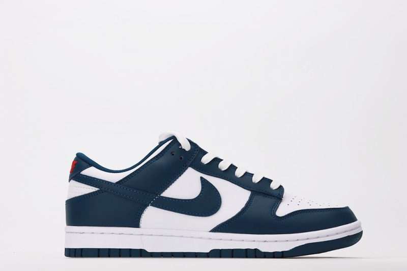 Nike Dunk Low Valerian Blue Quality Replica DD1391-400